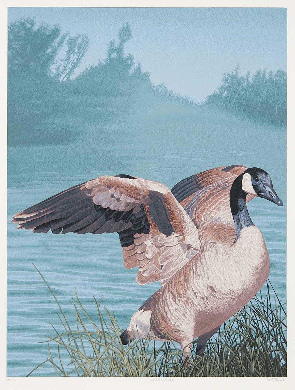 Dallas S. Estin - Canadian Goose #45/200