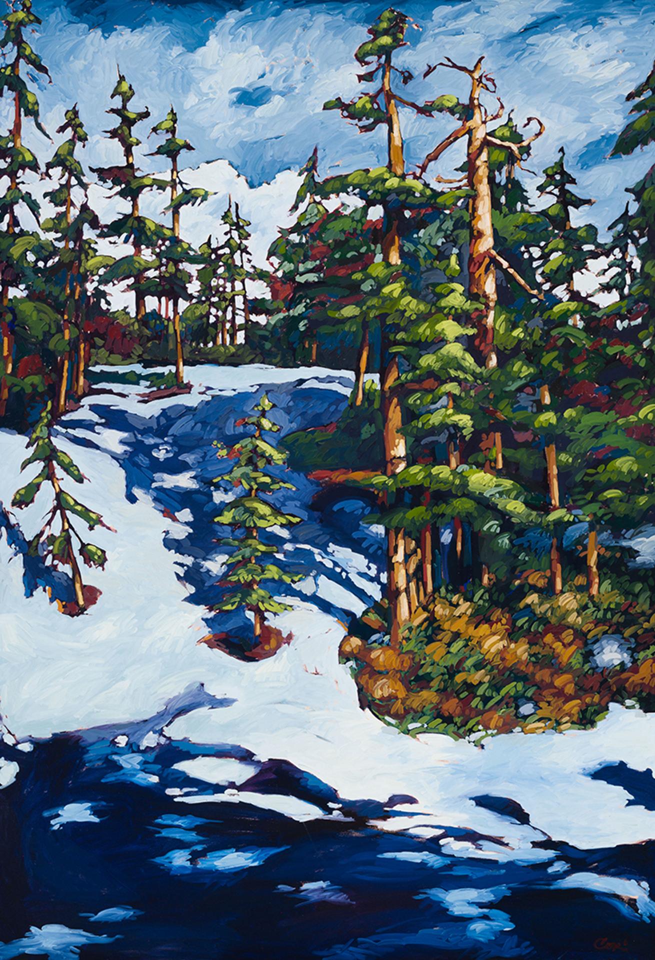 Cori Creed - Elfin Lake Snow