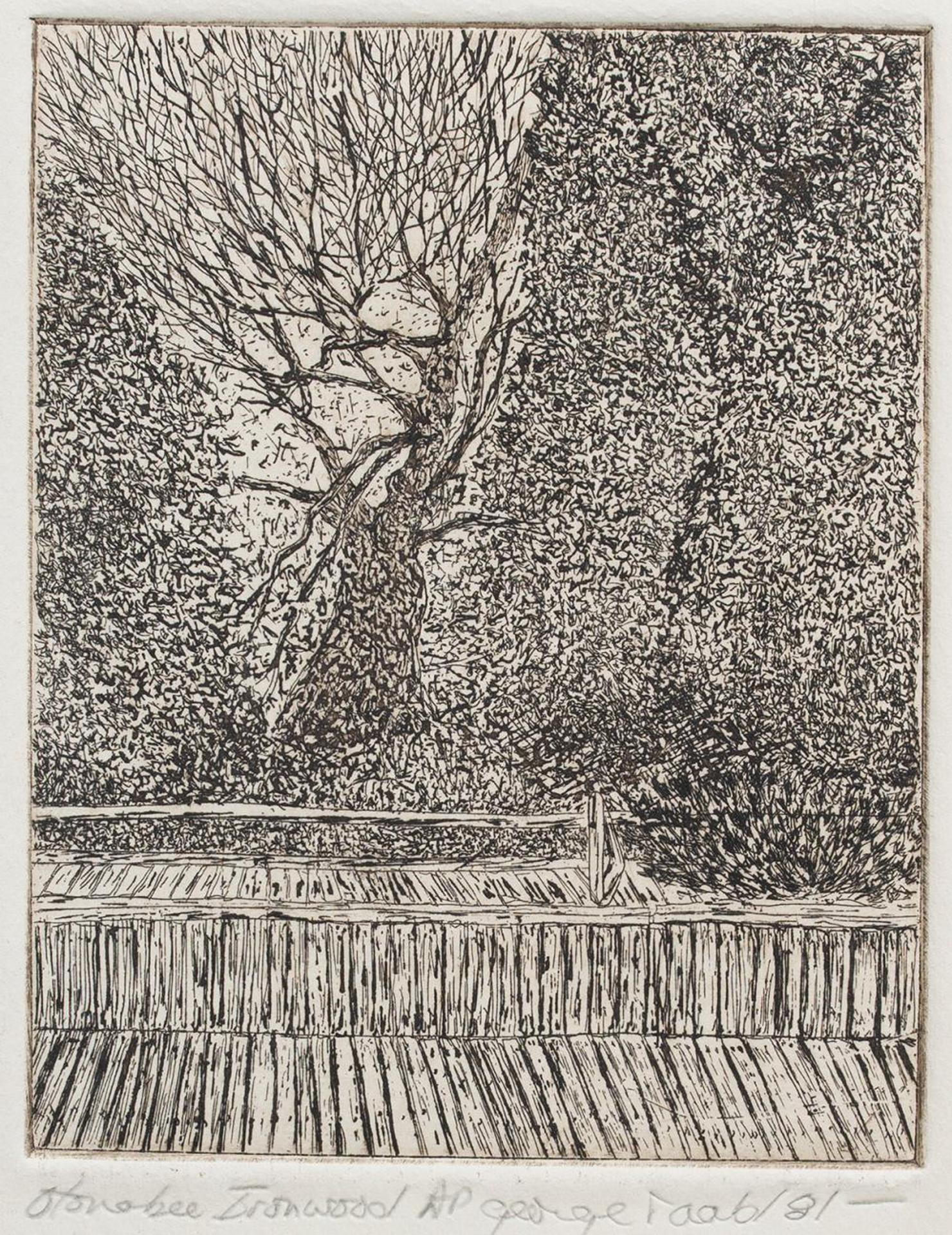 George Raab (1948) - Ironwood