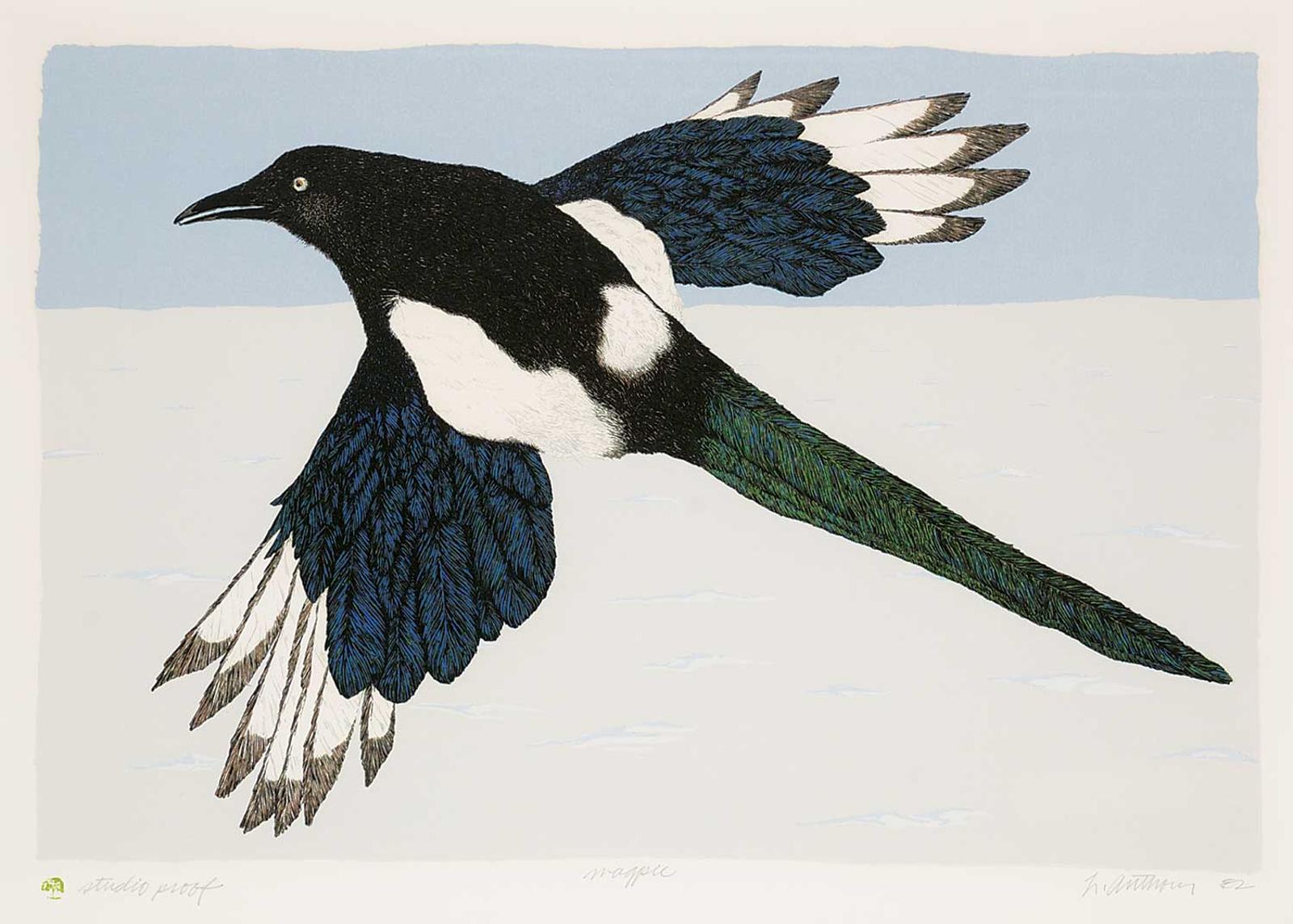 N. Anthony - Magpie #Studio Proof