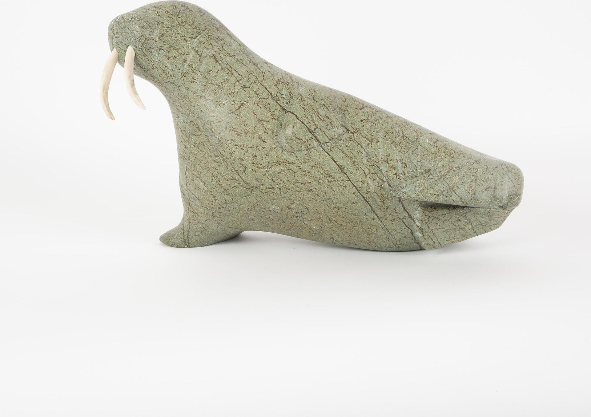 Tyara - Reclining Walrus