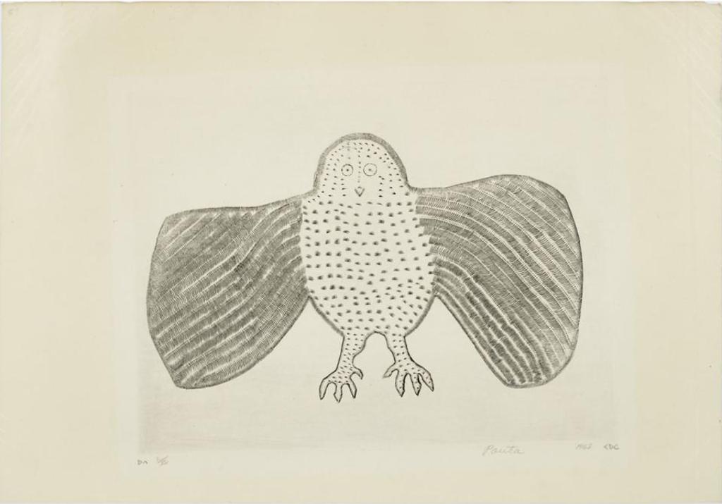 Pauta Saila (1916-2009) - Owl