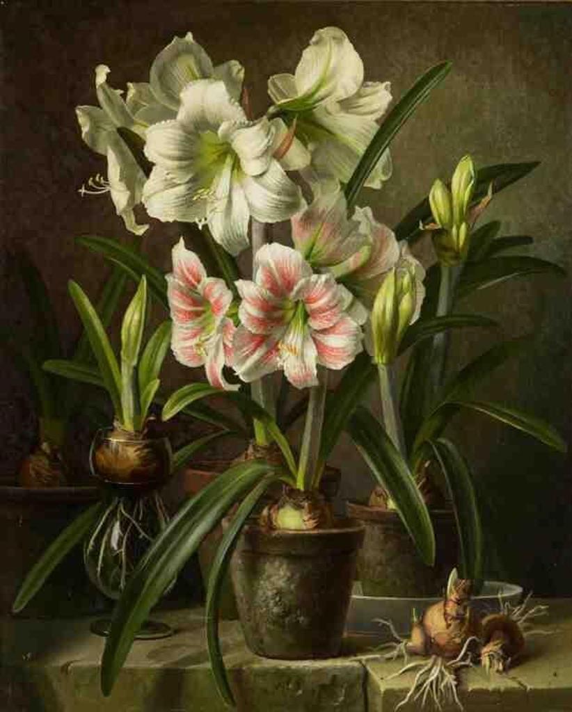 Gerald Cooper (1898-1975) - Still Life
