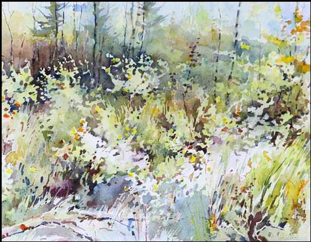 Vojtech (Voita) Matousek (1936-2015) - Trees Near Creek (00849/2013-705)