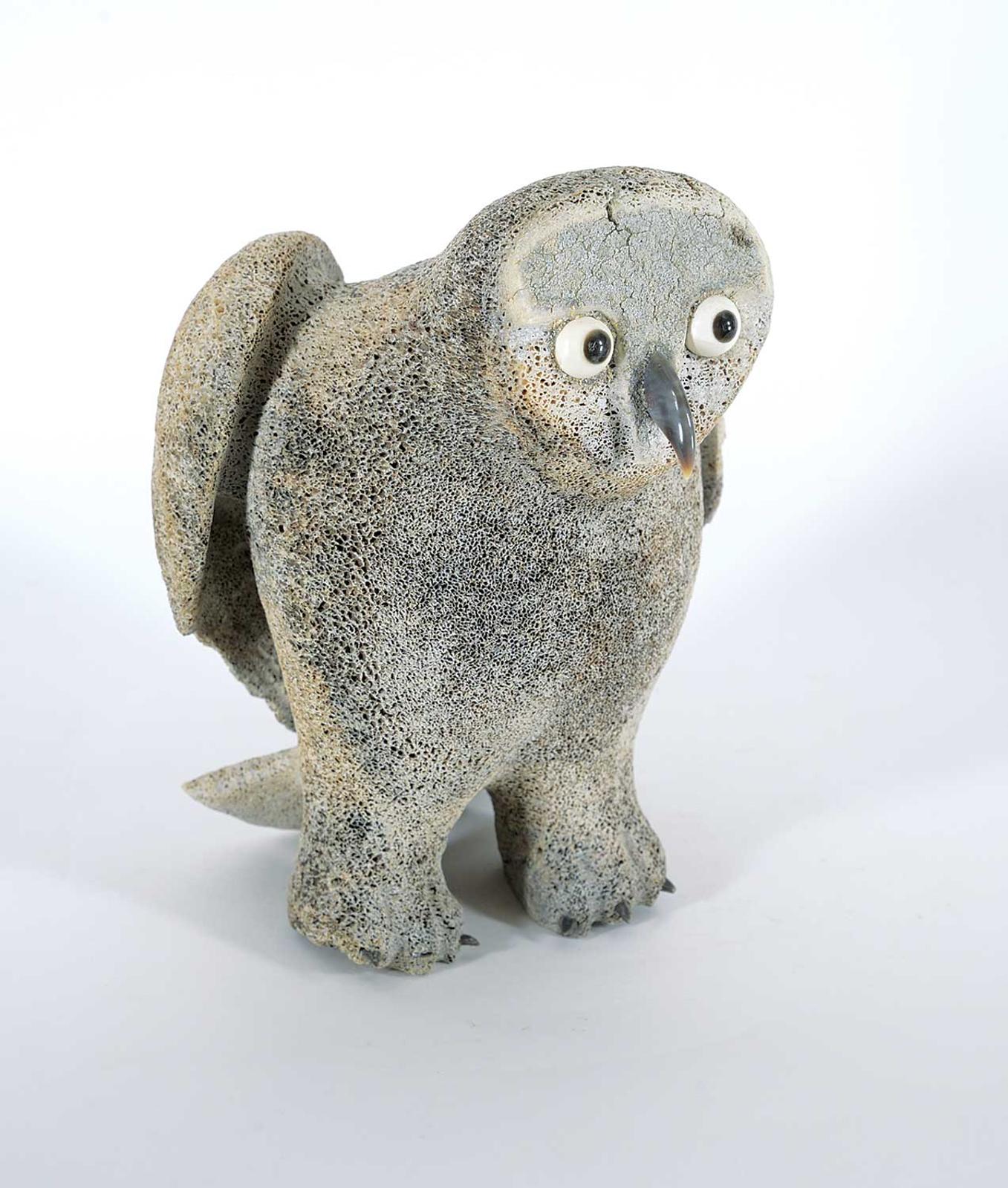 Alivaktuk - Untitled - Owl