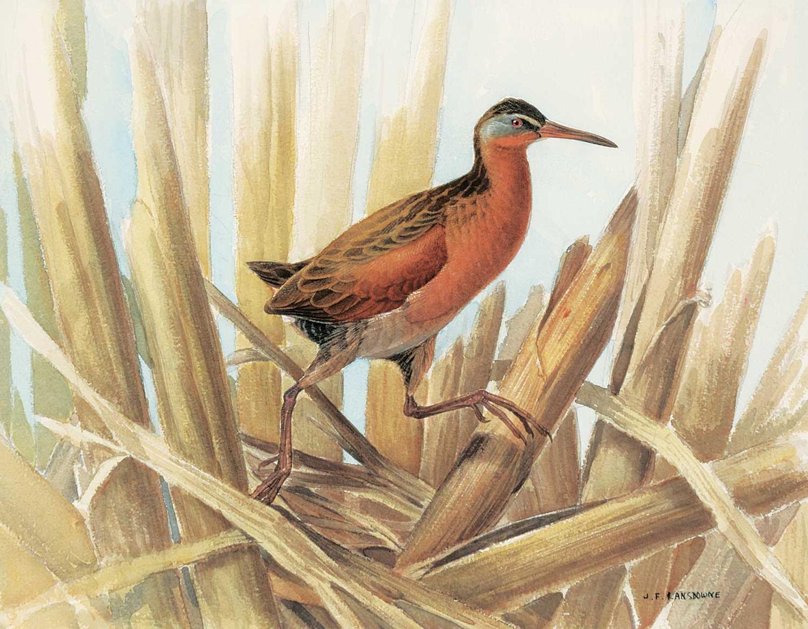 J.F. Lansdowne - Virginia Rail No. 2
