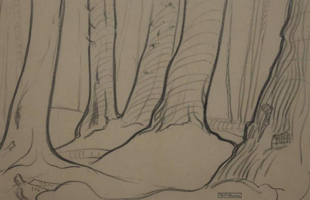 William Percival (W.P.) Weston (1879-1967) - Cedar Grove