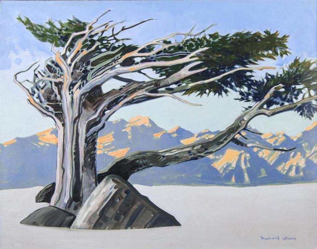 Robert Douglas Genn (1936-2014) - Kokanee Sky Pattern