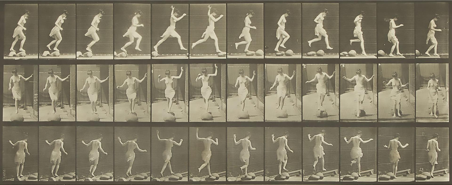 Eadweard Muybridge - Plate 170 (From 