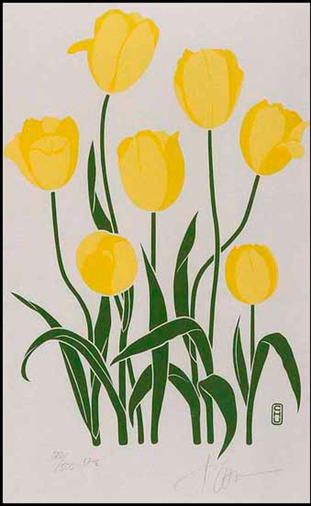 Julian Manzelli - Tulips (1525/2013-2116)