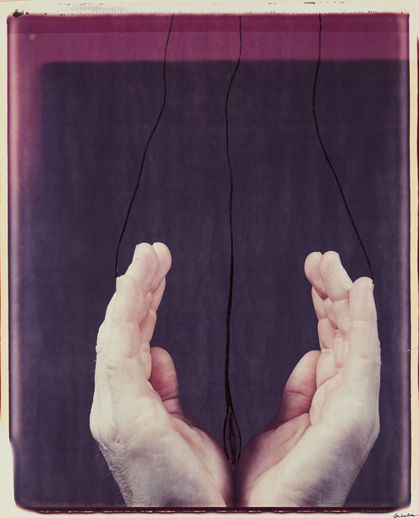 Iain Baxter (1936) - Handscape