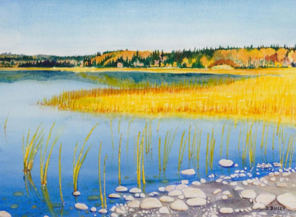 D. Bailey - Autumn Christopher Lake Low Water