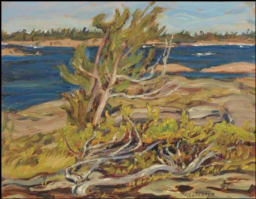 Alexander Young (A. Y.) Jackson (1882-1974) - Near Hurontario Camp