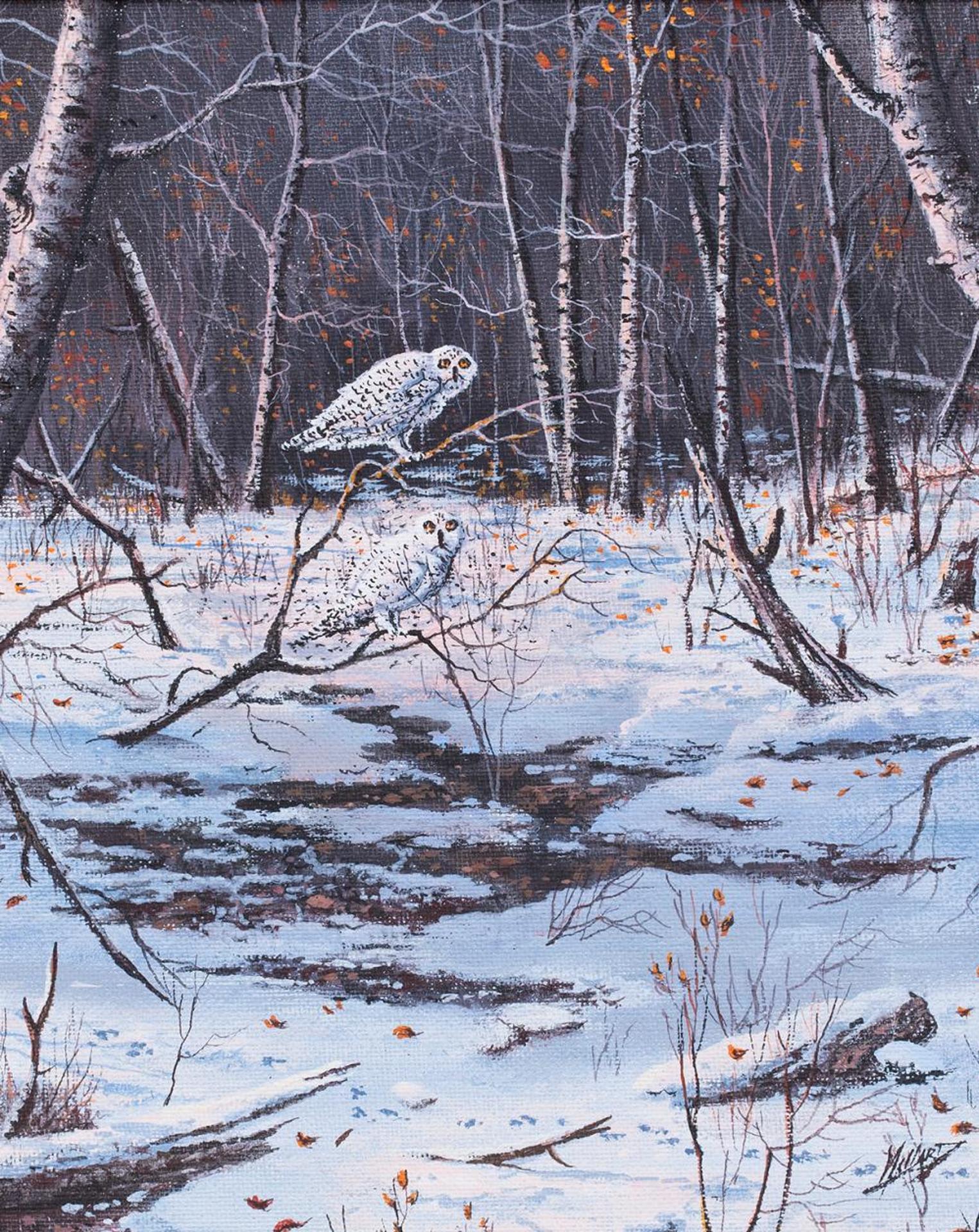 Bob Millard (1947-2014) - Untitled - Two Owls