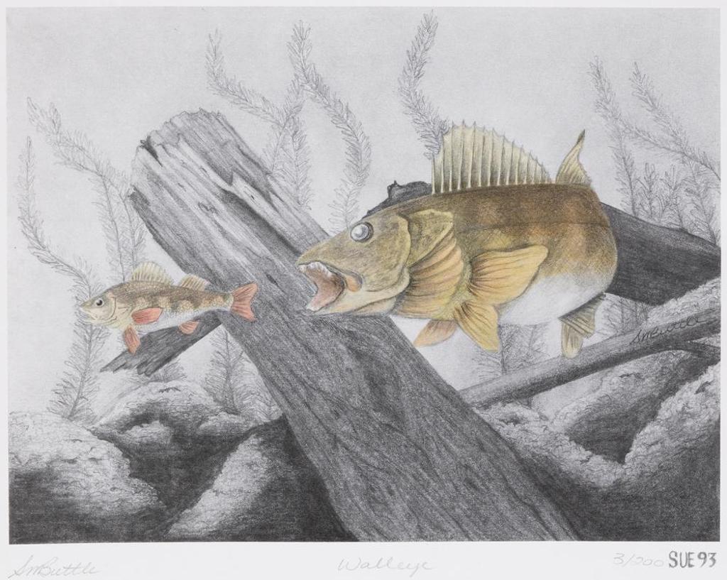 Suzanne Buttle - Walleye