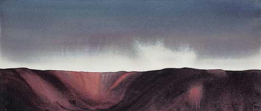 Jane Evans Ross - Untitled - Nidus