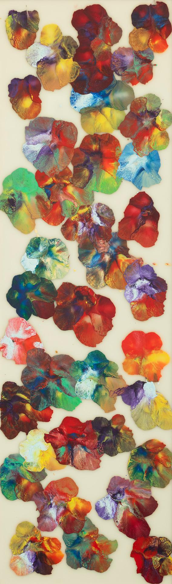 José María Sicilia - Multiflower, 1998-99