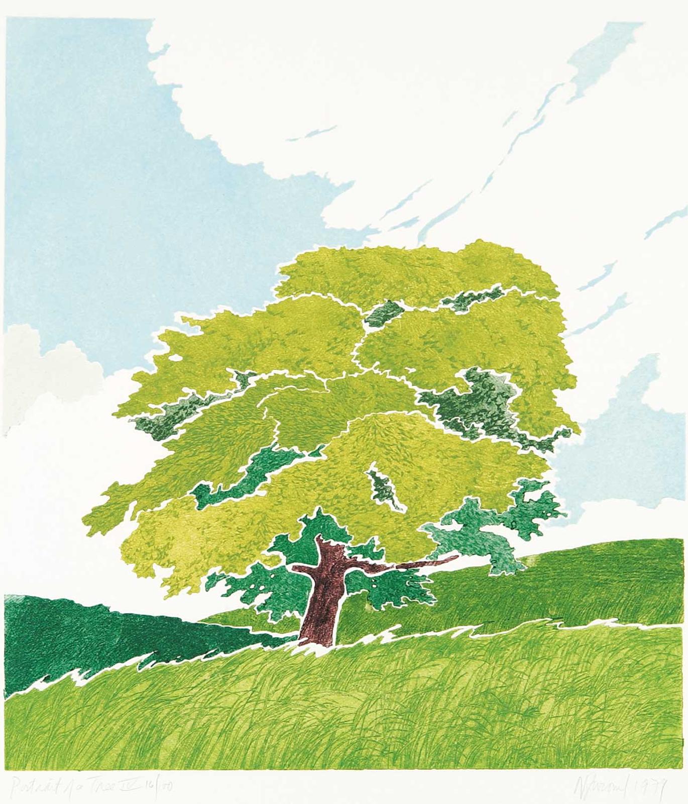 Barbara Newcomb (1936) - Portrait of a Tree IV #16/100
