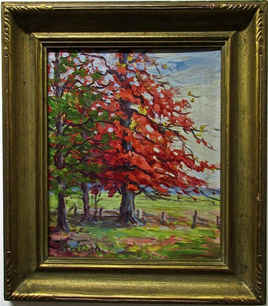 Lila Caroline Mcgillivray Knowles (1886-1967) - The Scarlet Maple