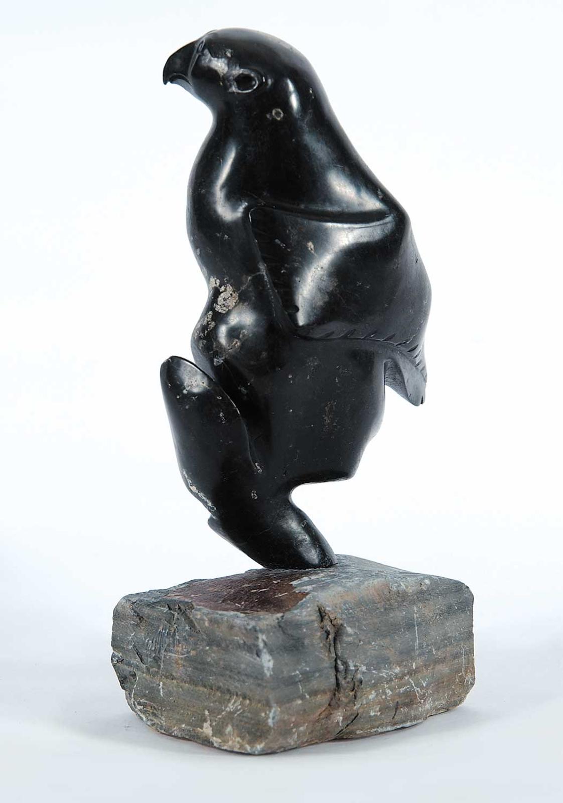 Okpik - Untitled - Bird