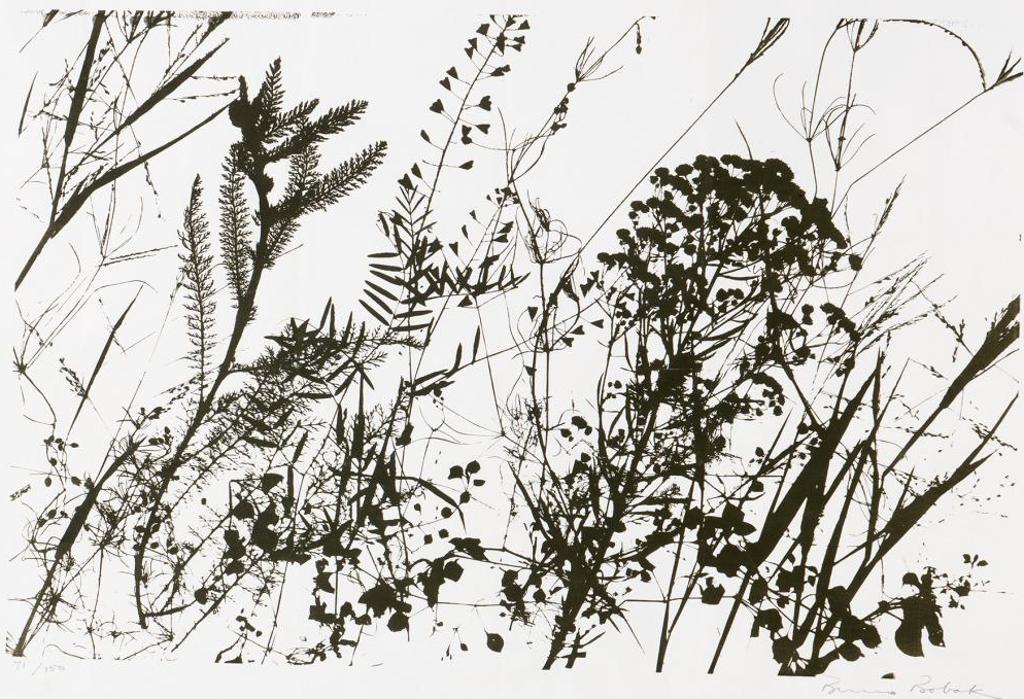 Bruno Joseph Bobak (1923-2012) - Untitled - Wild Grasses