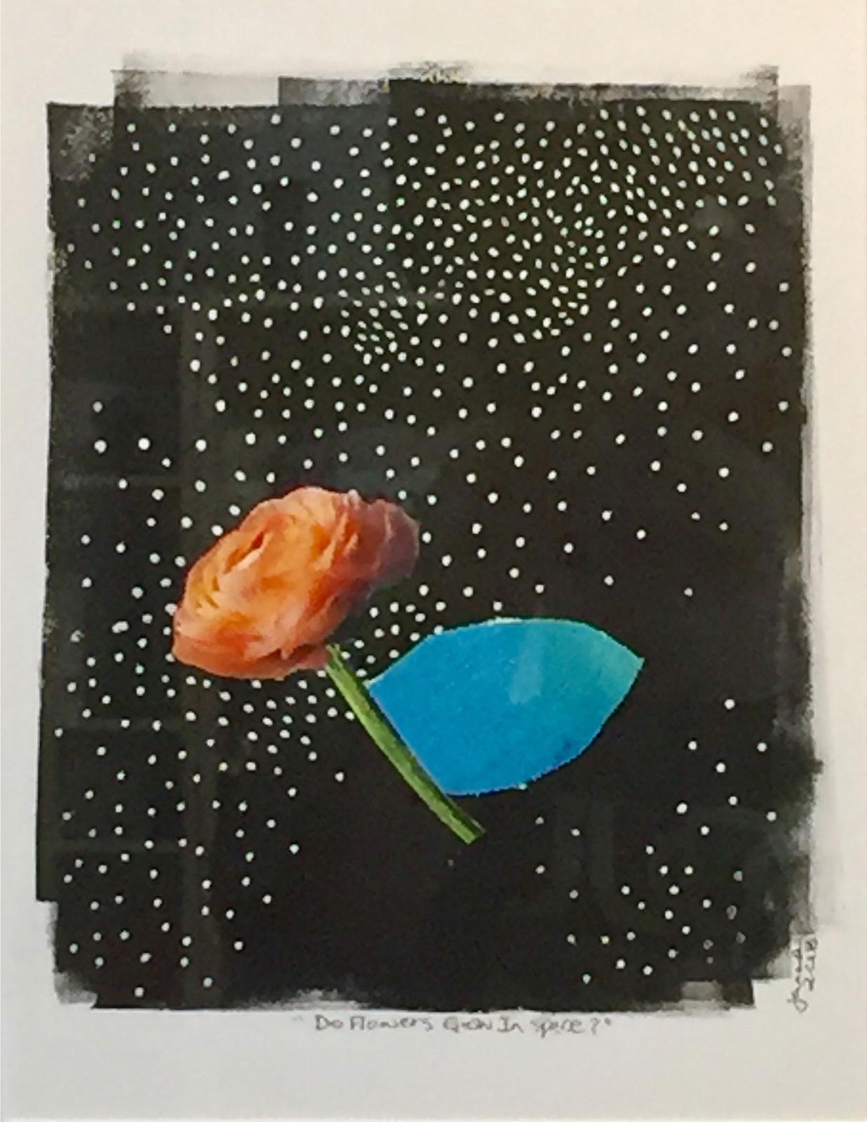 Janna Robins-Walters - Do Flowers Grow In Space?
