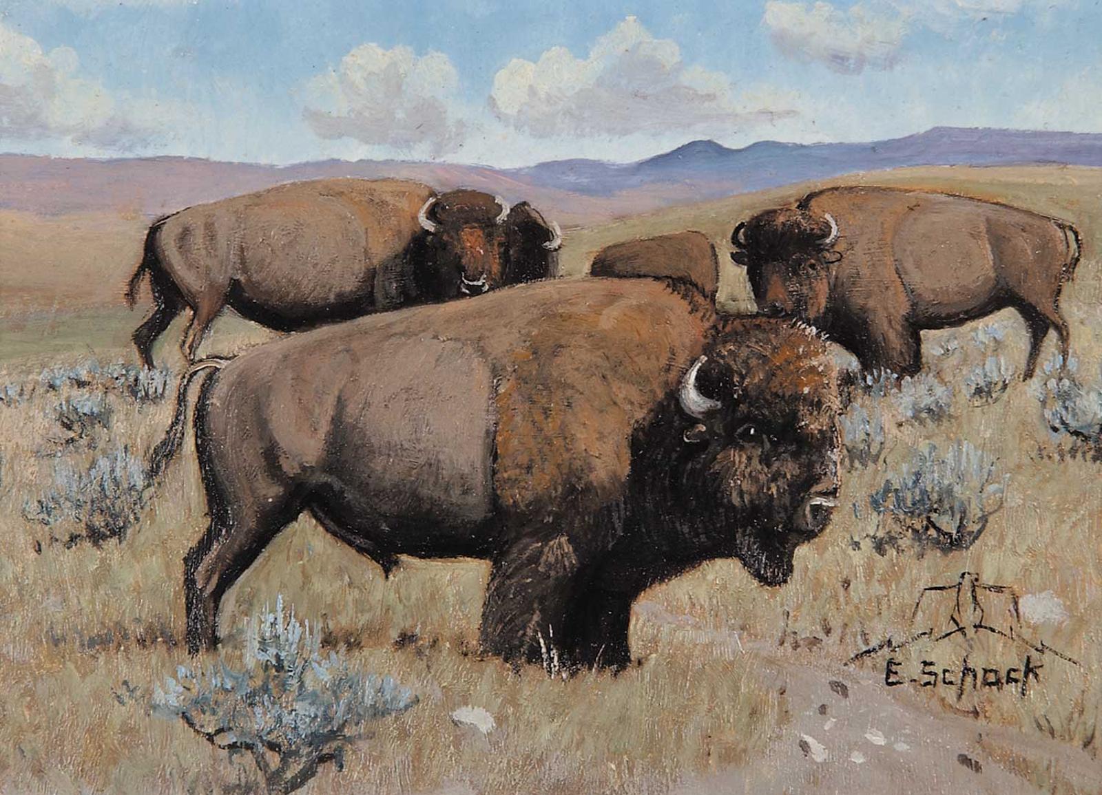 Elmer Schock (1970) - Buffalo