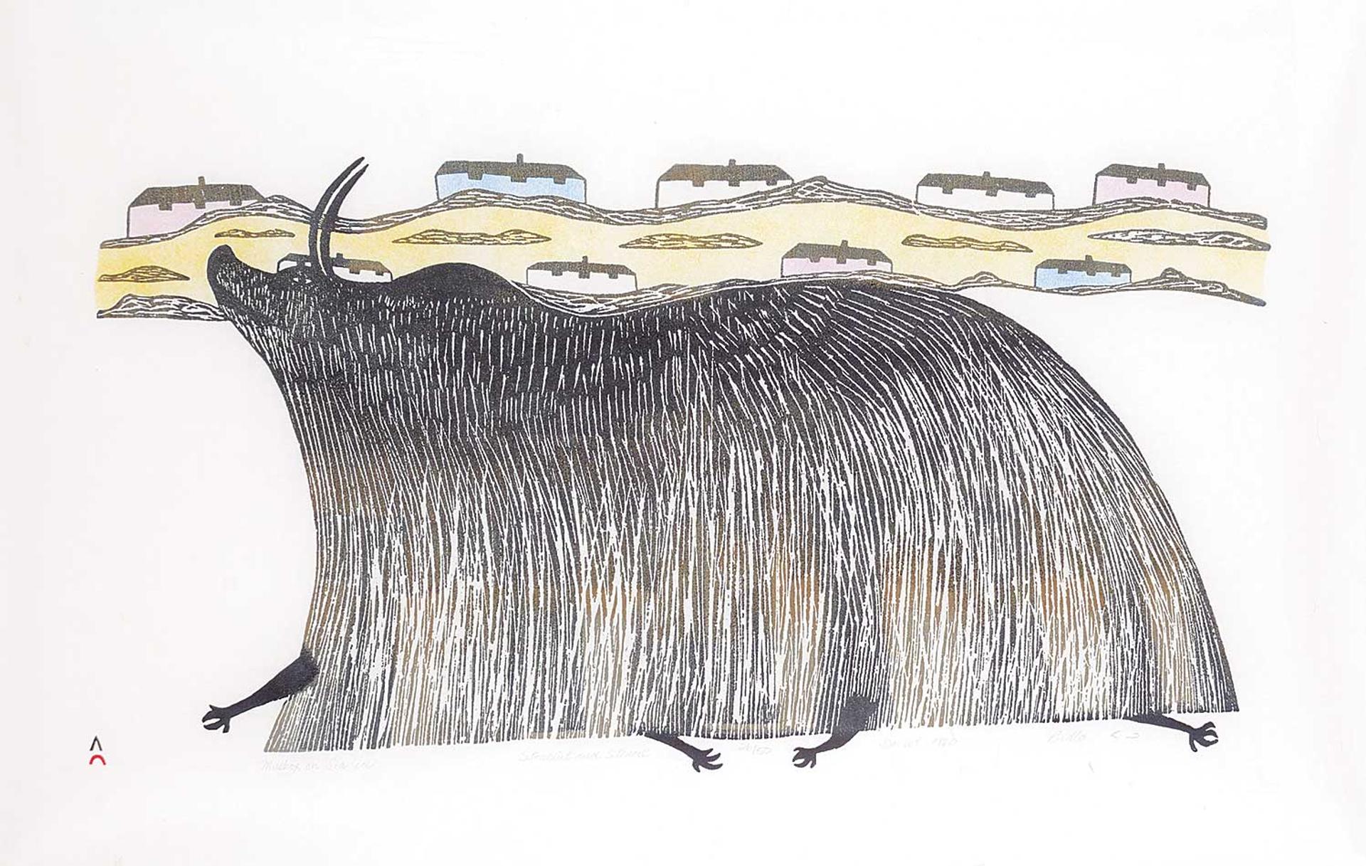 Pudlo Pudlat (1916-1992) - Muskox on Sea Ice #26/50