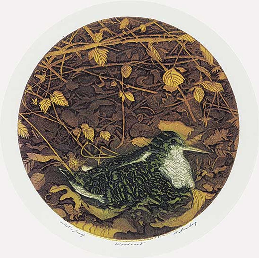 David Silverberg (1936) - Woodcock #Artist's Proof