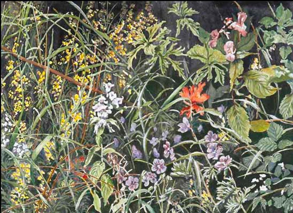 Joan Cook - English Hedgerow #1 (02114/2013-1217)
