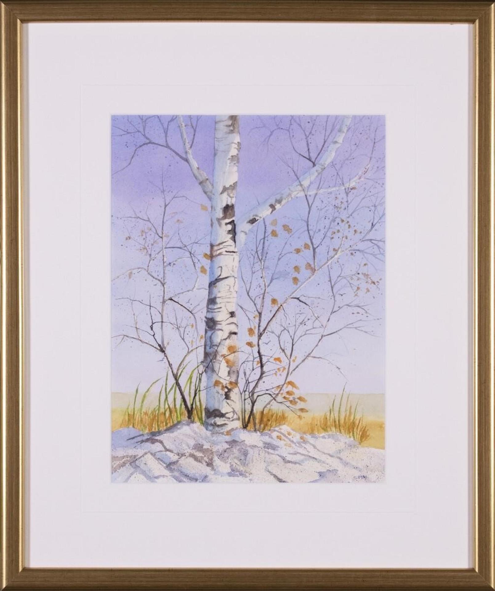Yvette Simm (1937) - Longevity, Birch