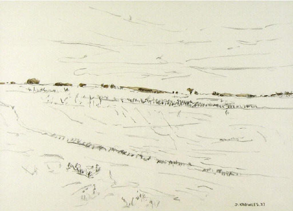Dorothy Elsie Knowles (1927-2001) - Untitled