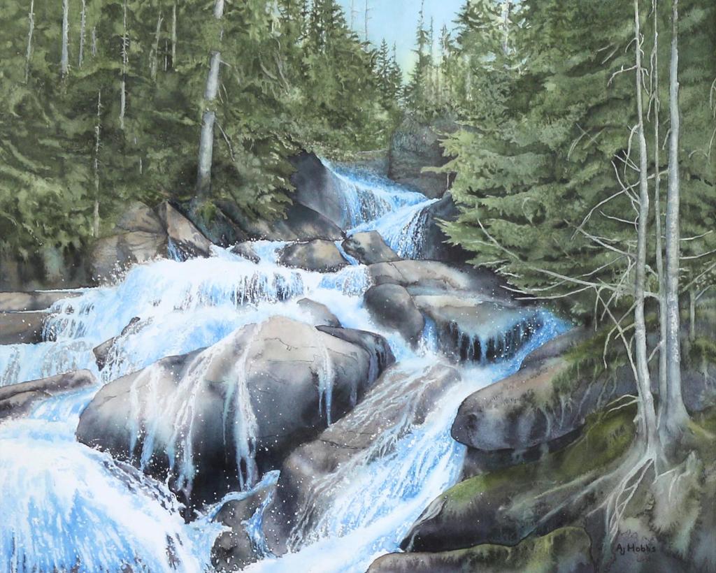 Arlene J. Hobbs (1955) - Northern Falls