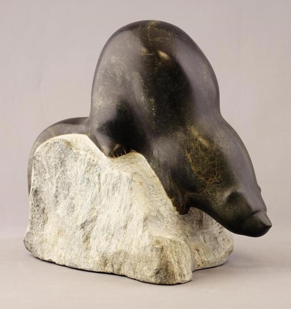 Cathryn Jenkins (1957) - Otter