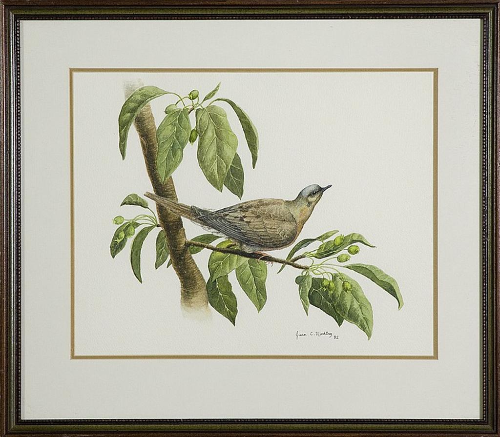 Juan C. Martinez - Untitled - Bird