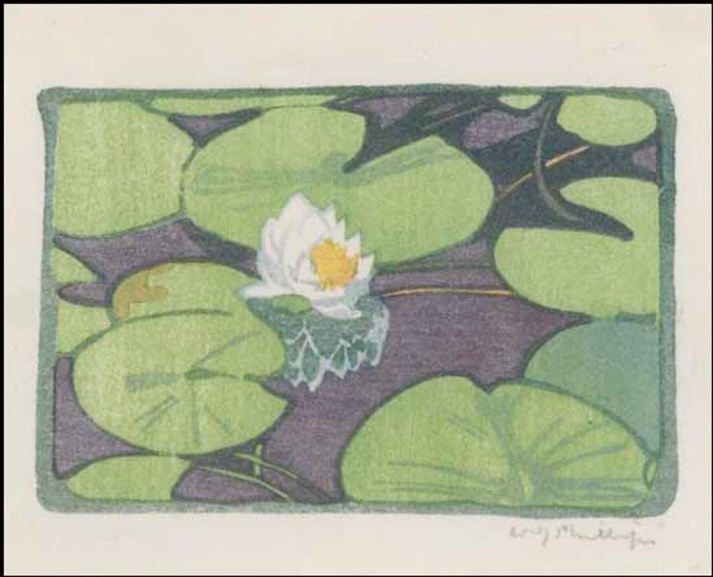 Walter Joseph (W.J.) Phillips (1884-1963) - The Lily