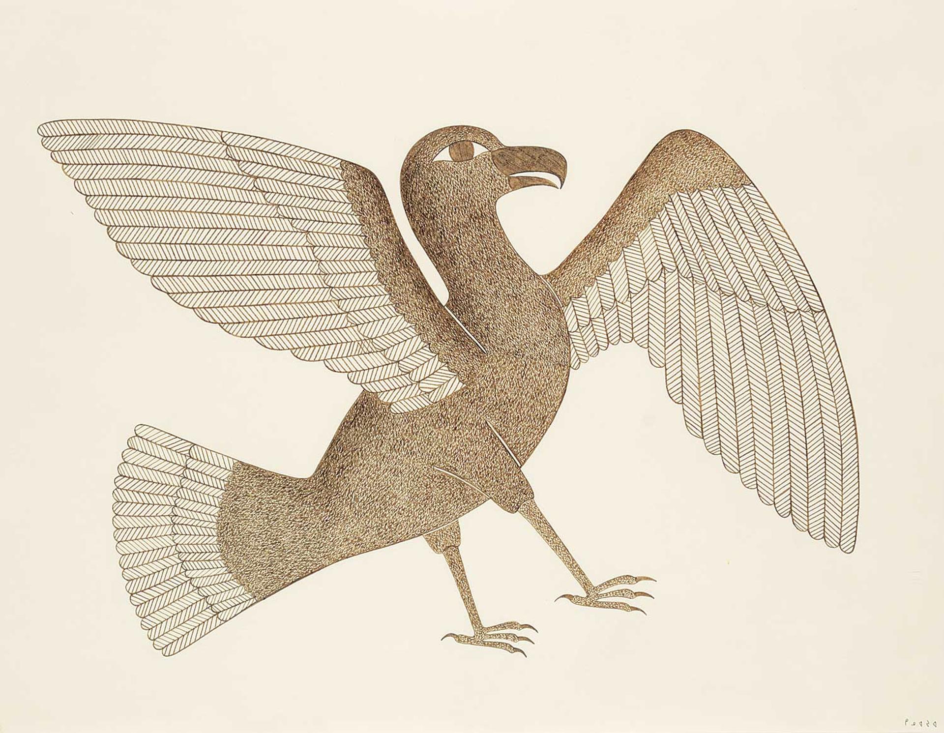 Kenojuak Ashevak (1927-2013) - Untitled - Seagull