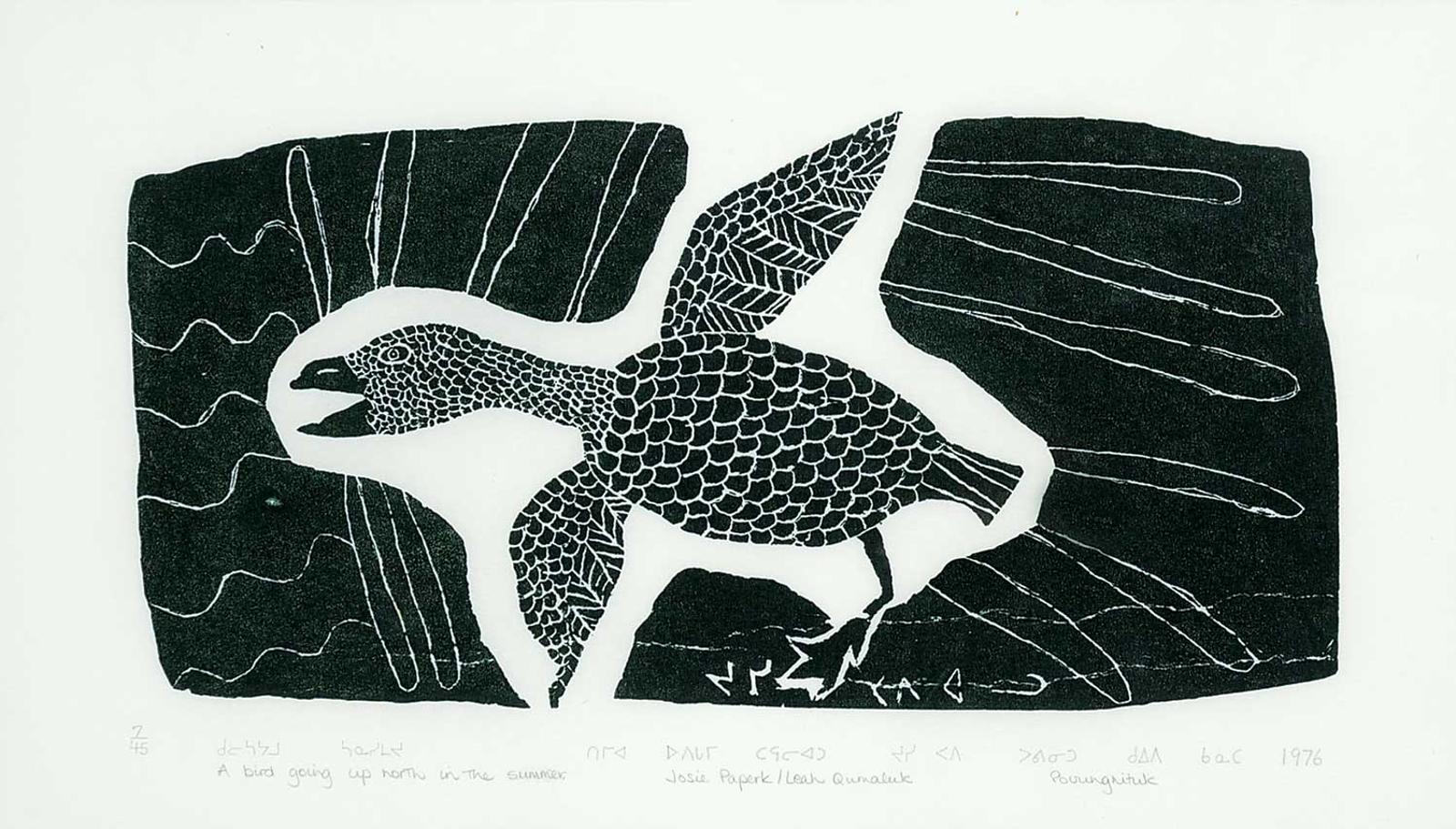 Papialuk - A Bird Going up North in the Summer #7/45