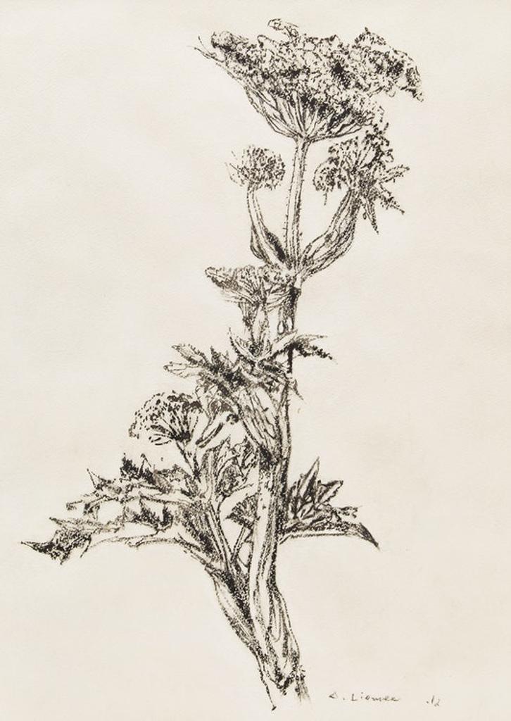 Arthur Lismer (1885-1969) - Botanical Study