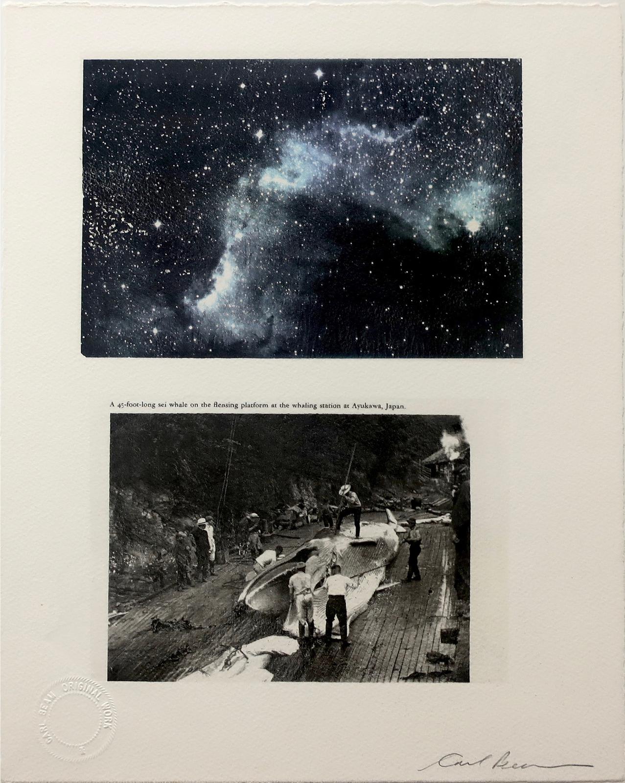 Carl Beam (1943-2005) - Untitled (Galaxy-Sei Whale)