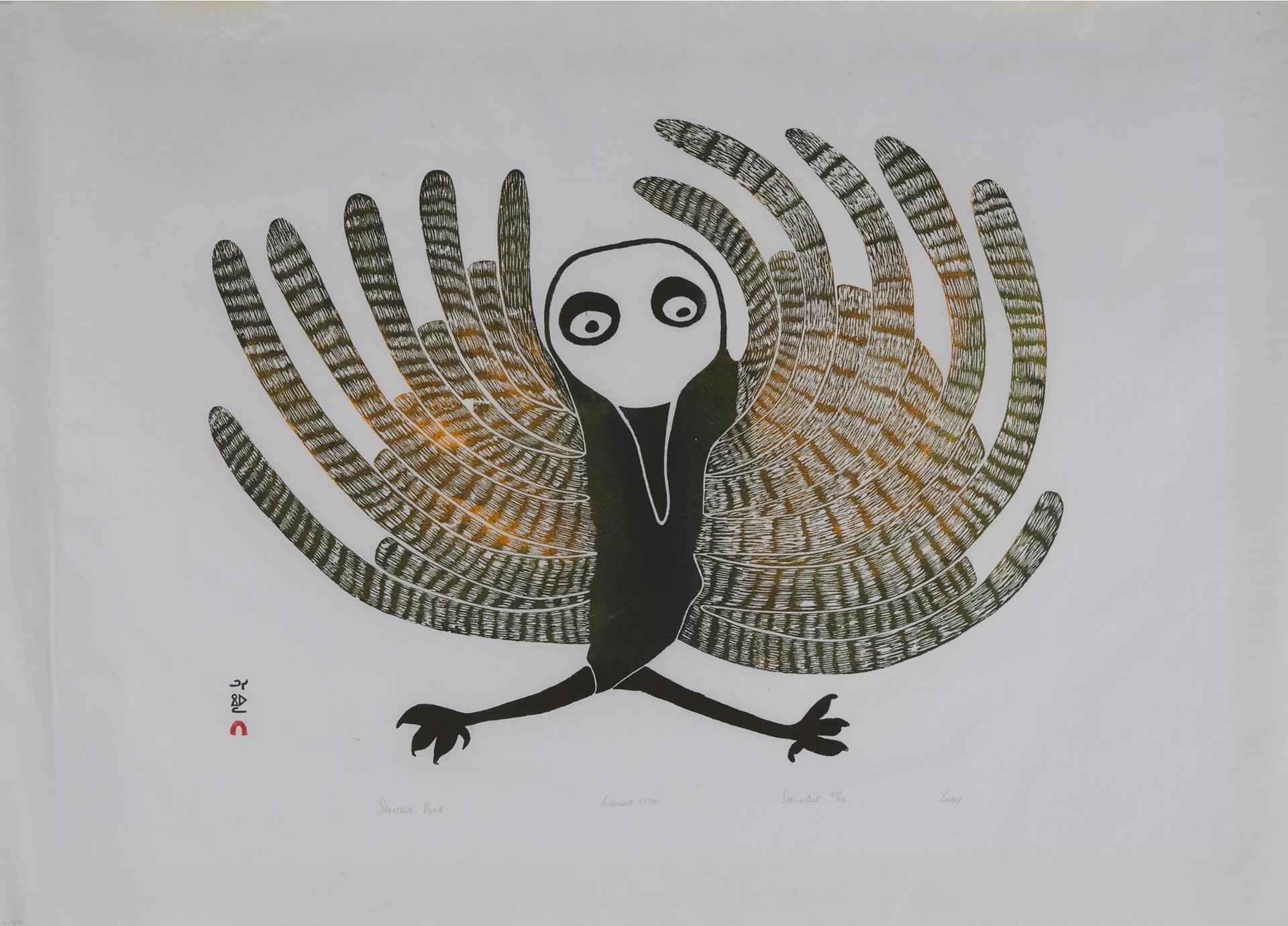 Lucy Qinnuayuak (1915-1982) - Startled Bird