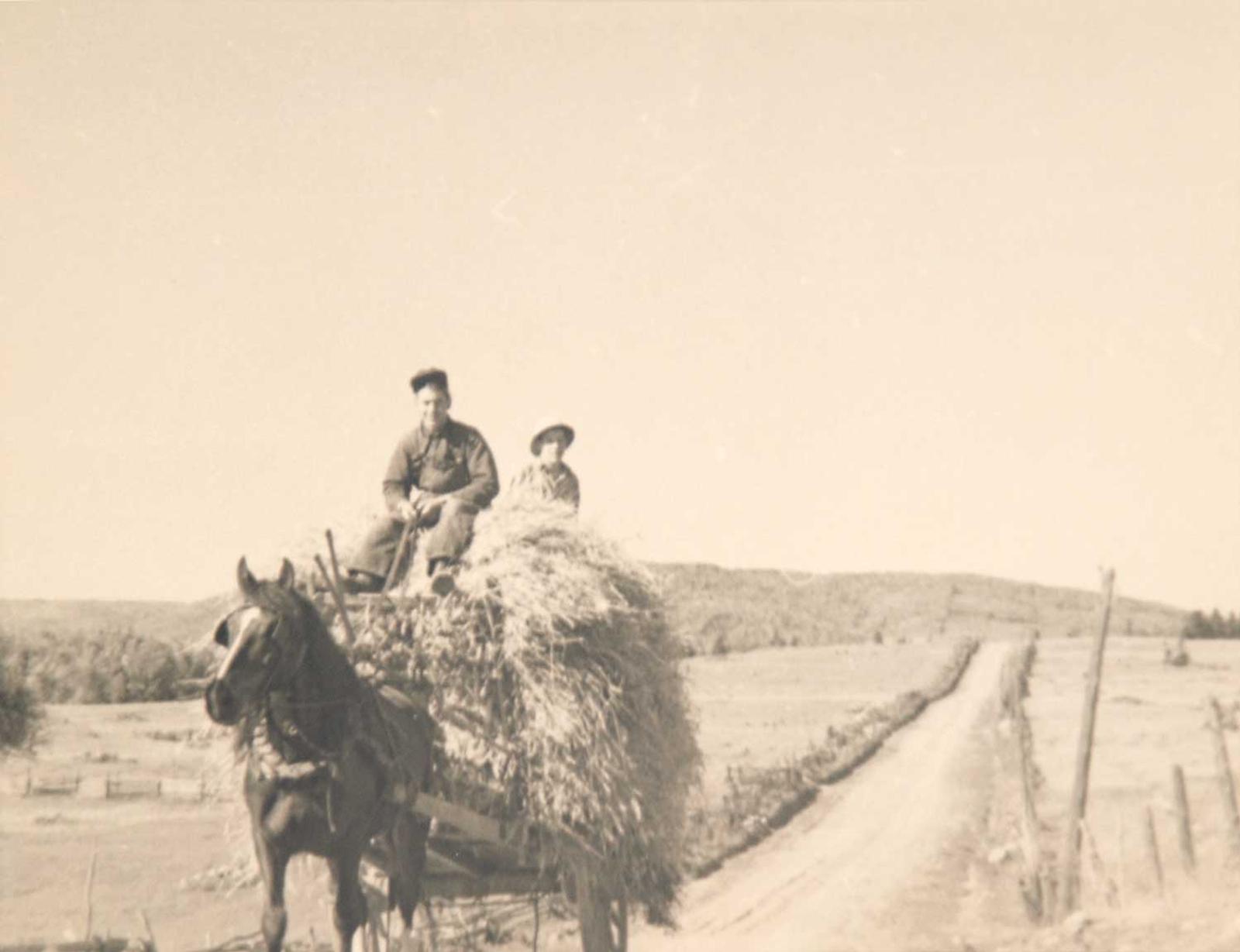 Francis Hans (Franz) Johnston (1889-1949) - Carting Hay