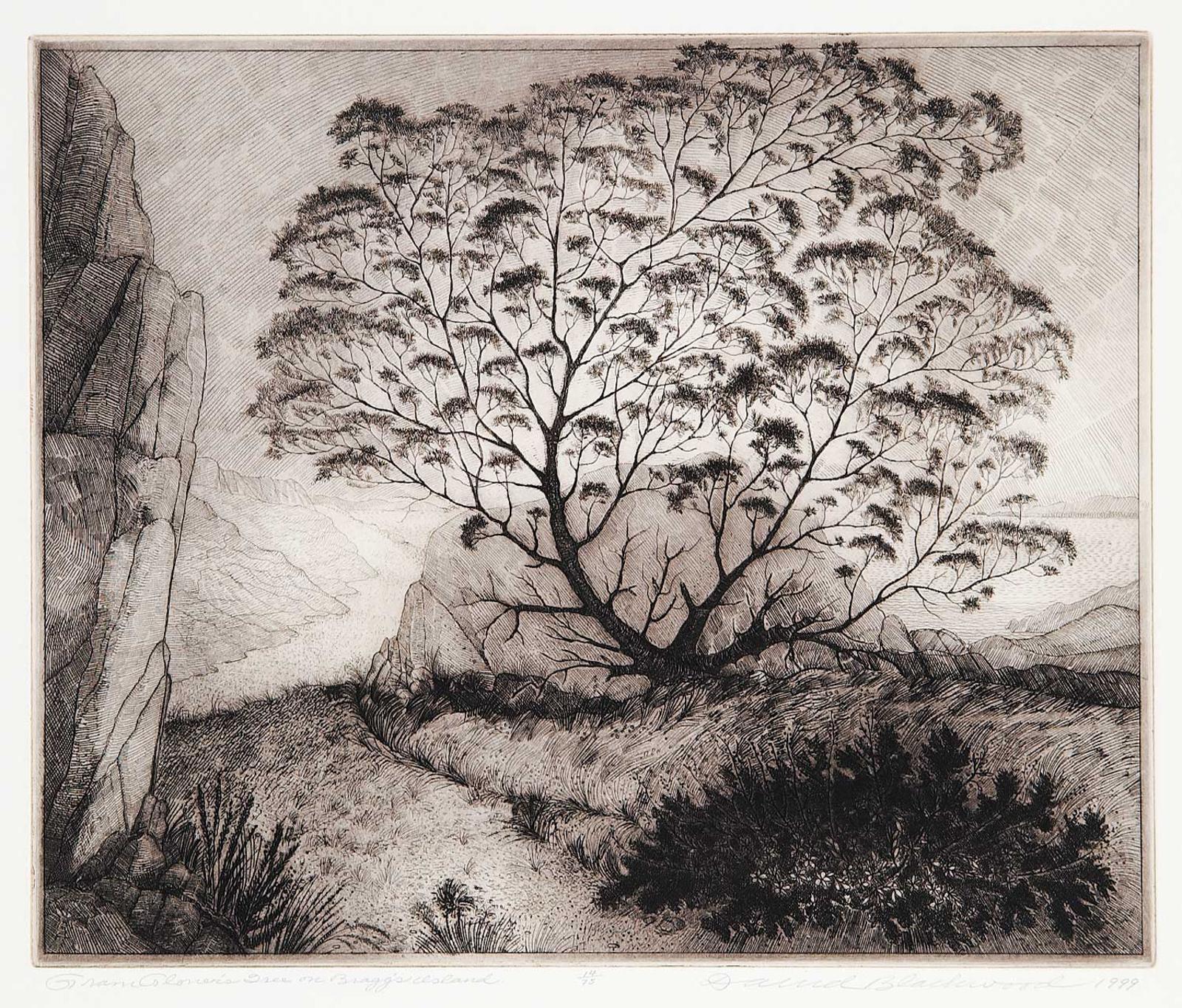 David Lloyd Blackwood (1941-2022) - Gram Glover's Tree on Bragg's Island #14/75