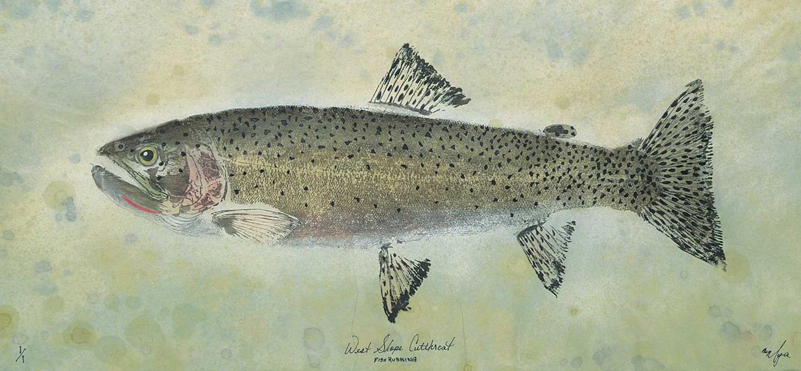 Mya DeRyan - West Slope Cutthroat, Fish Rubbing #1/1