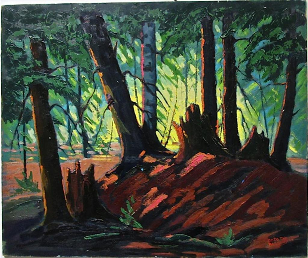 Dorothy - Sunlit Woods