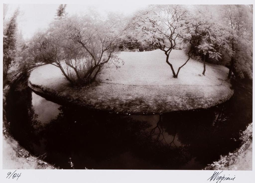 Anthony Viggiani - Island of Trees