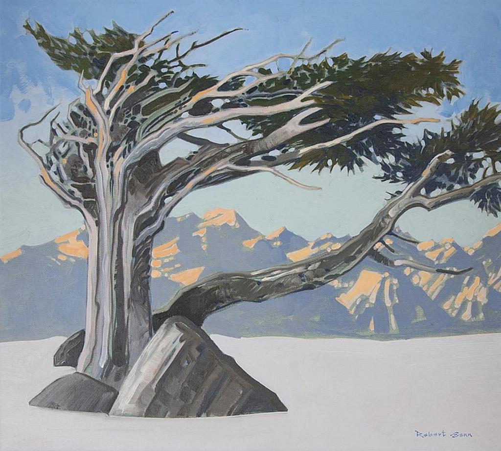 Robert Douglas Genn (1936-2014) - Kokanee Sky Pattern