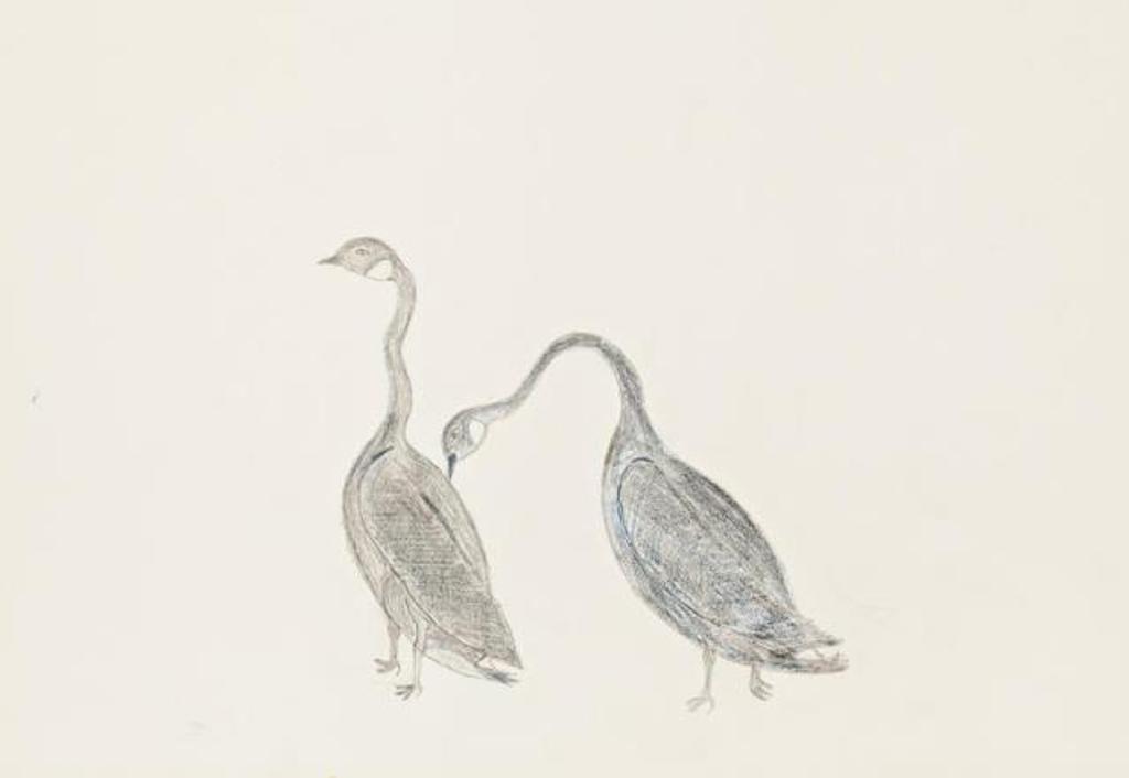 Aqjangajuk (Axangayu) Shaa (1937-2019) - Untitled