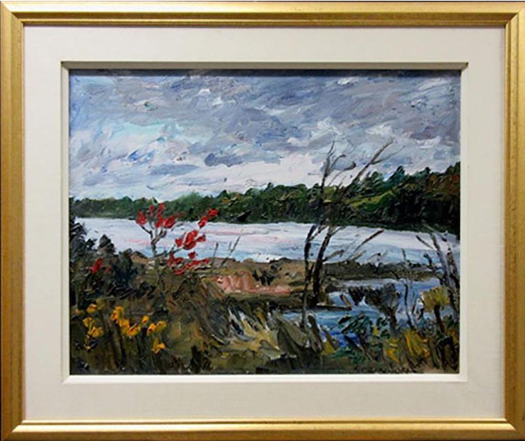 Bruce Steinhoff (1959) - Late October, Joe Lake