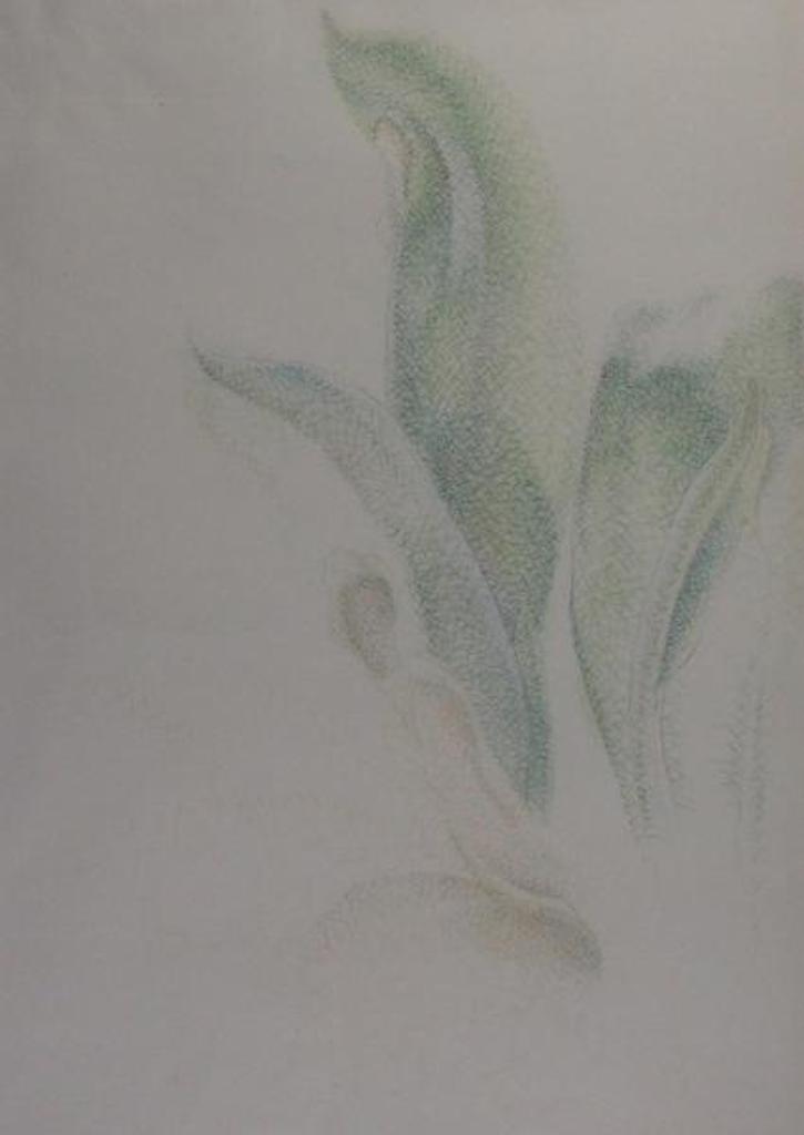 Lionel Lemoine FitzGerald (1890-1956) - Plant Leaves